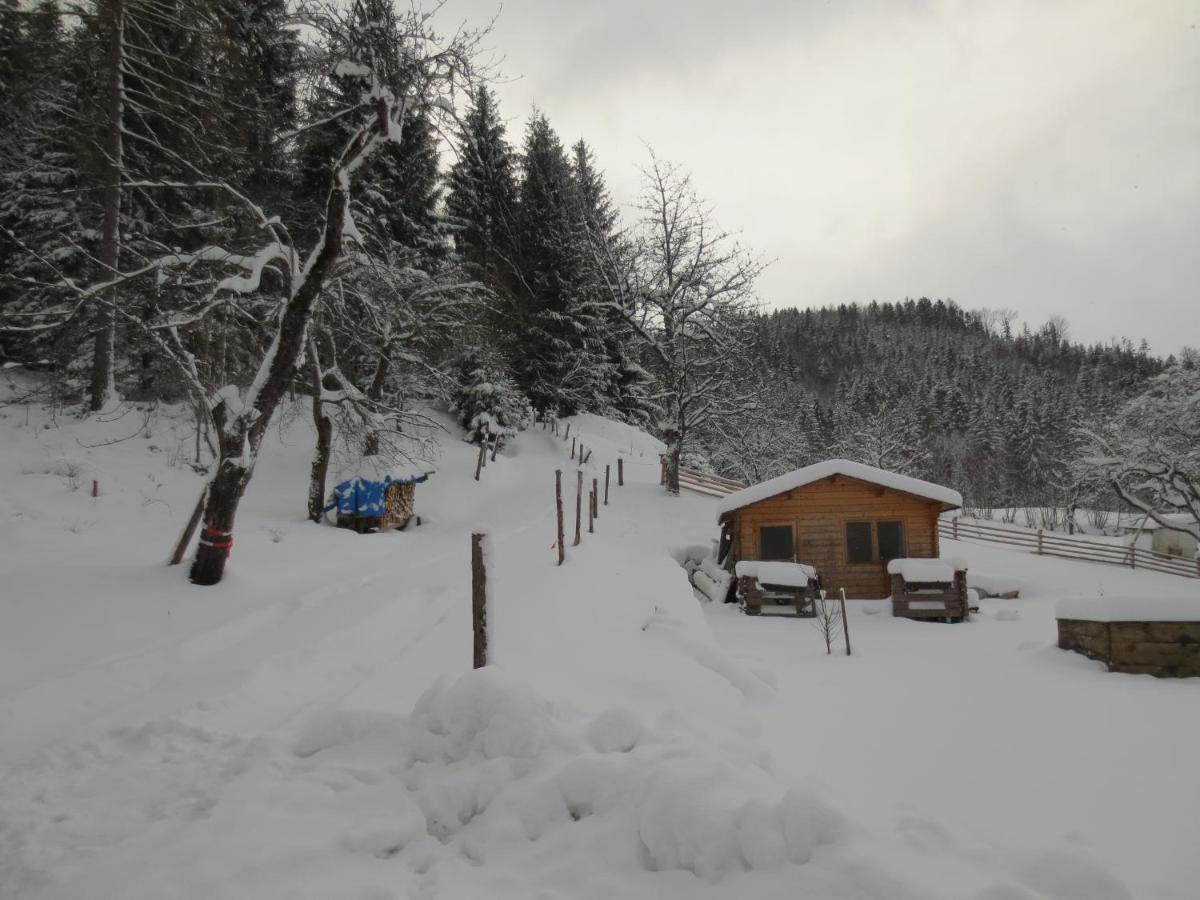 Landhaus Ziegelstadel Windischgarsten Exteriör bild
