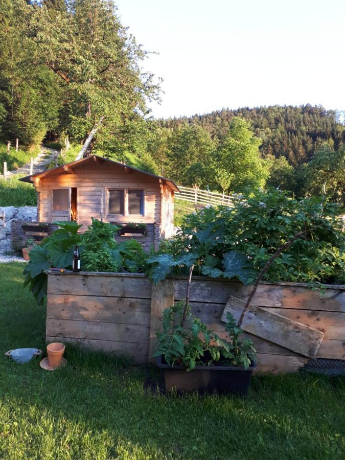 Landhaus Ziegelstadel Windischgarsten Exteriör bild